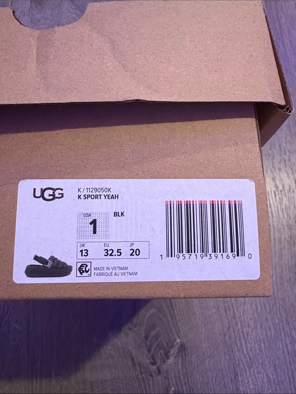 UGG branded shoe